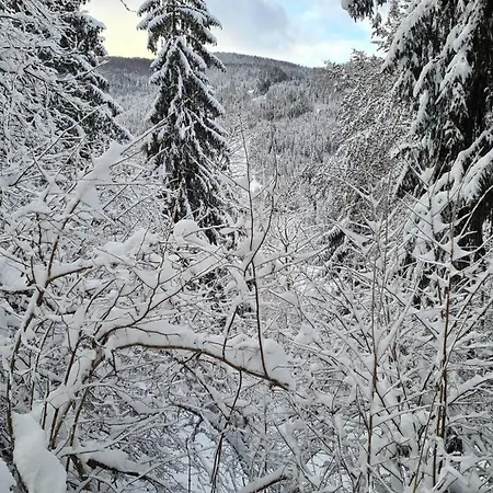Chalet Catina - Chalet Bergblick